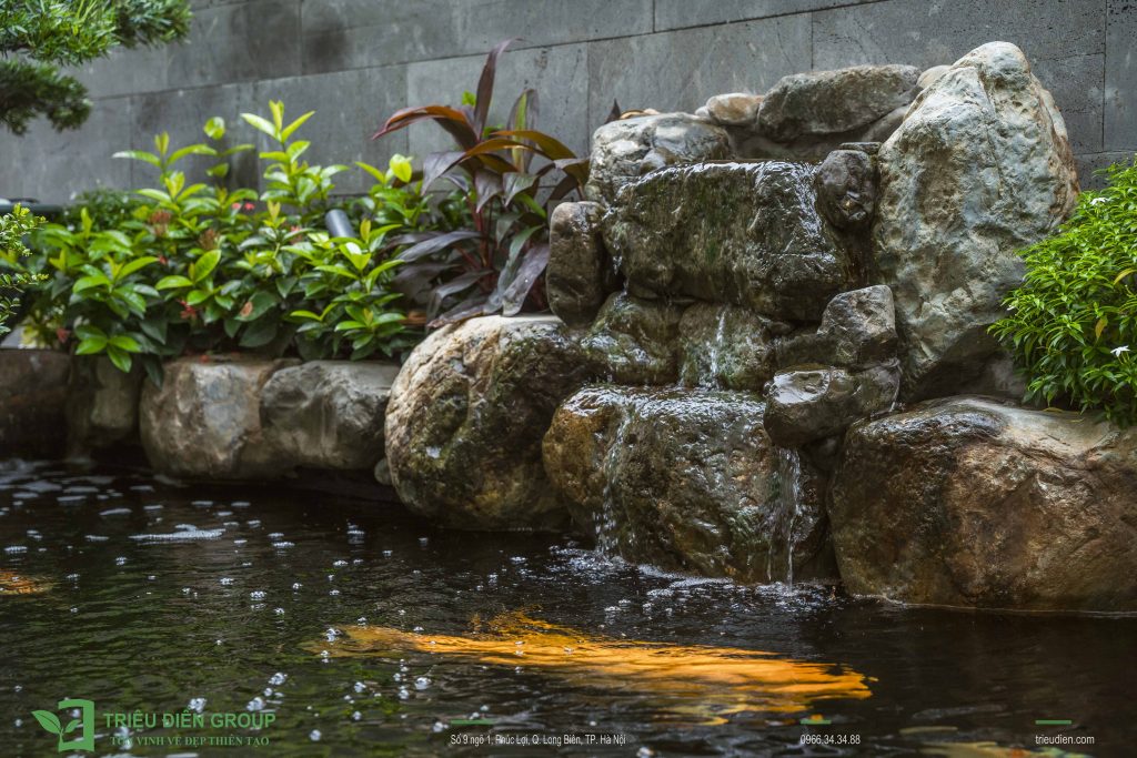 Sân Vườn Và Hồ Cá Koi Tại Đảo 5 Khu đô thị Ecopark 3 DSC02810 1024x683 1