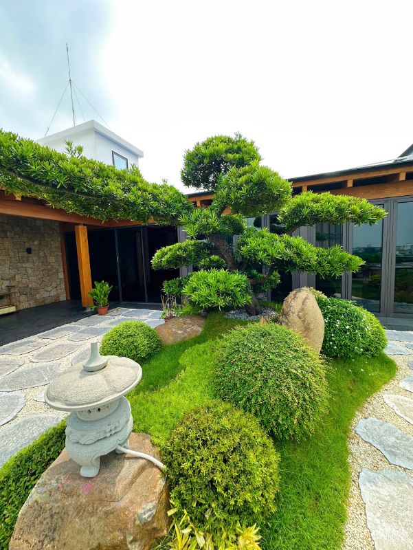 Hình ảnh nhà a Cường – Đông Anh